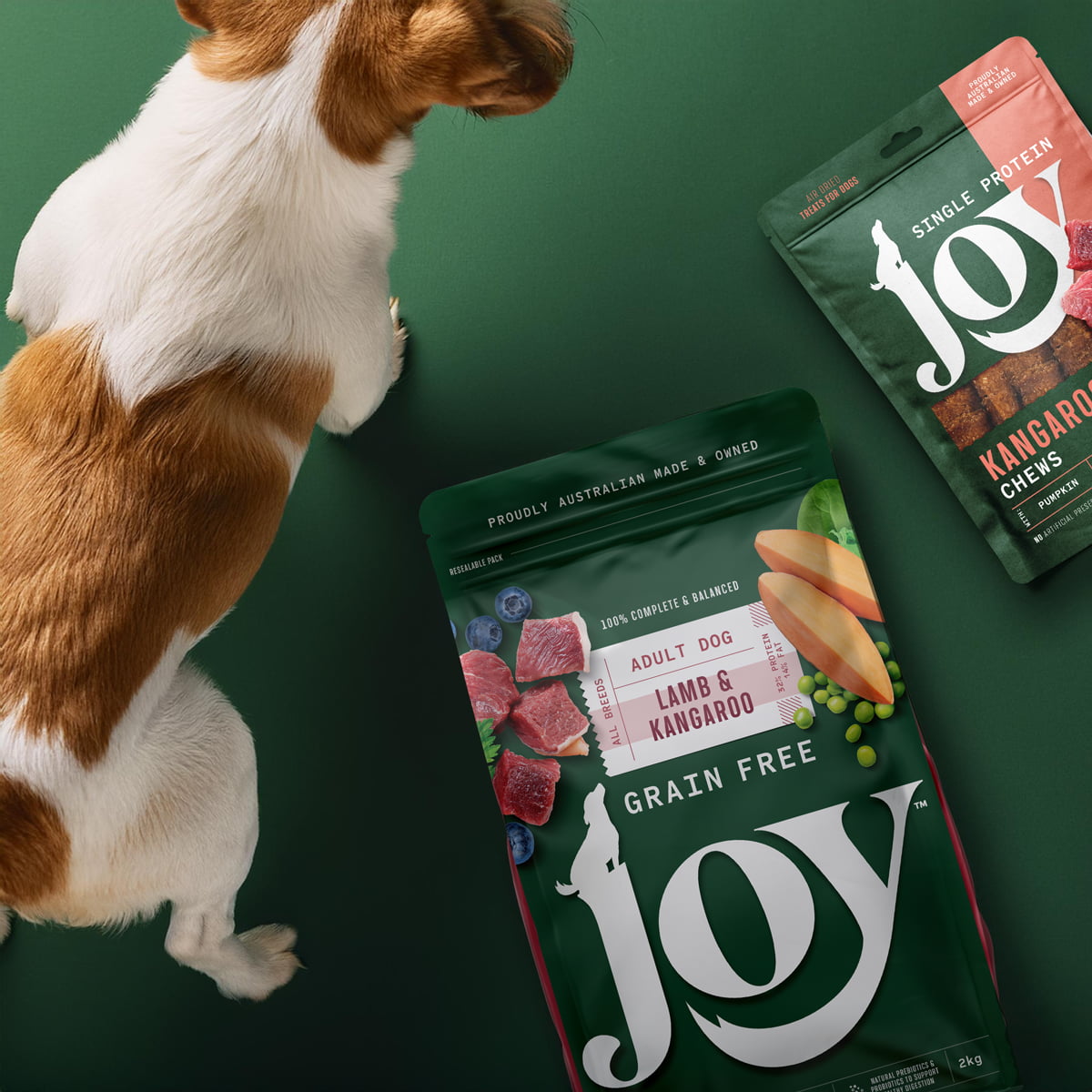 joy-dog-food-complete-nutrition-boxer-and-co-design-agency-brand-identity