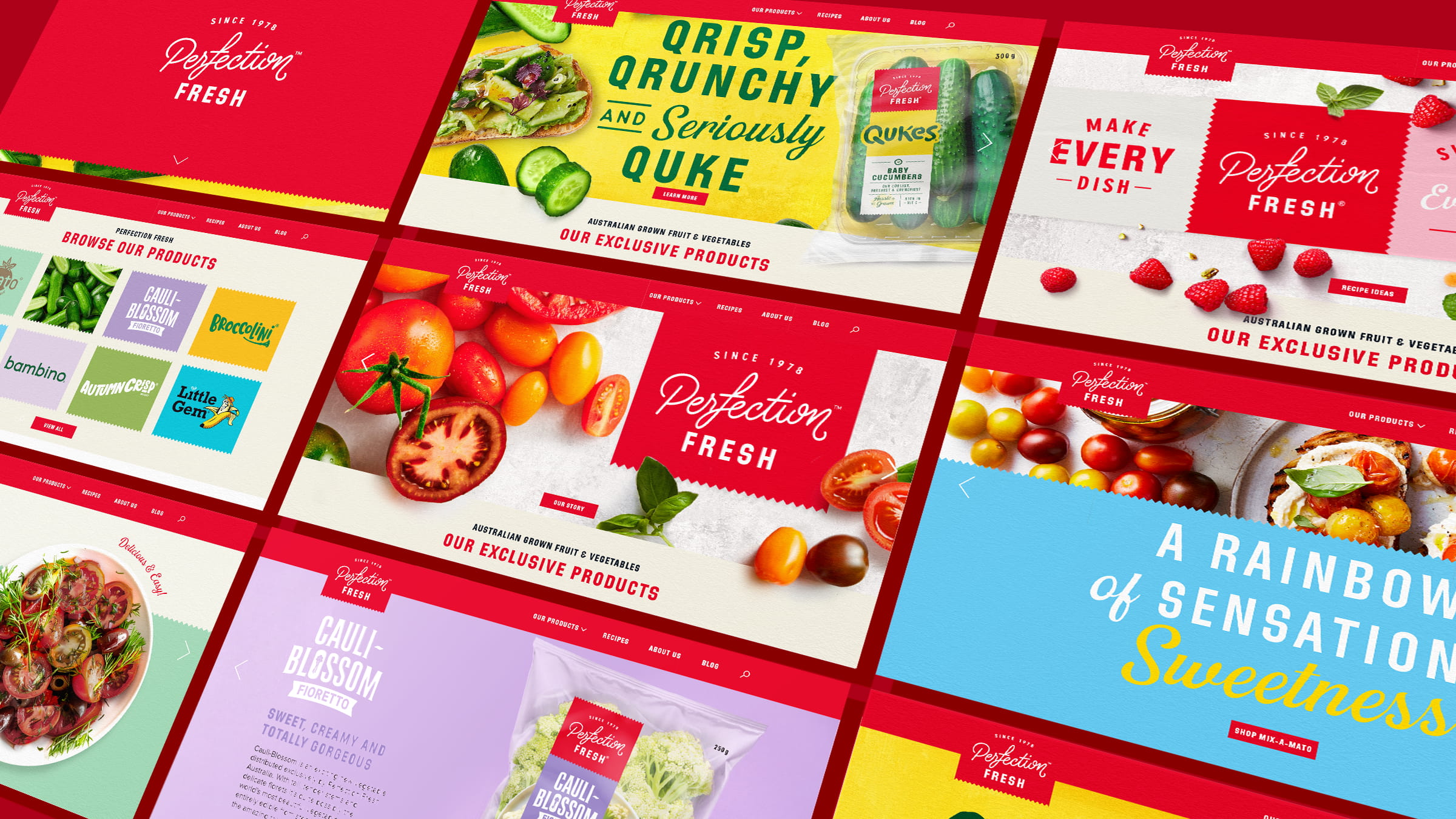 web-design-perfection-fresh-boxer-and-co-packaging-produce-redesign-vibrant-flavour