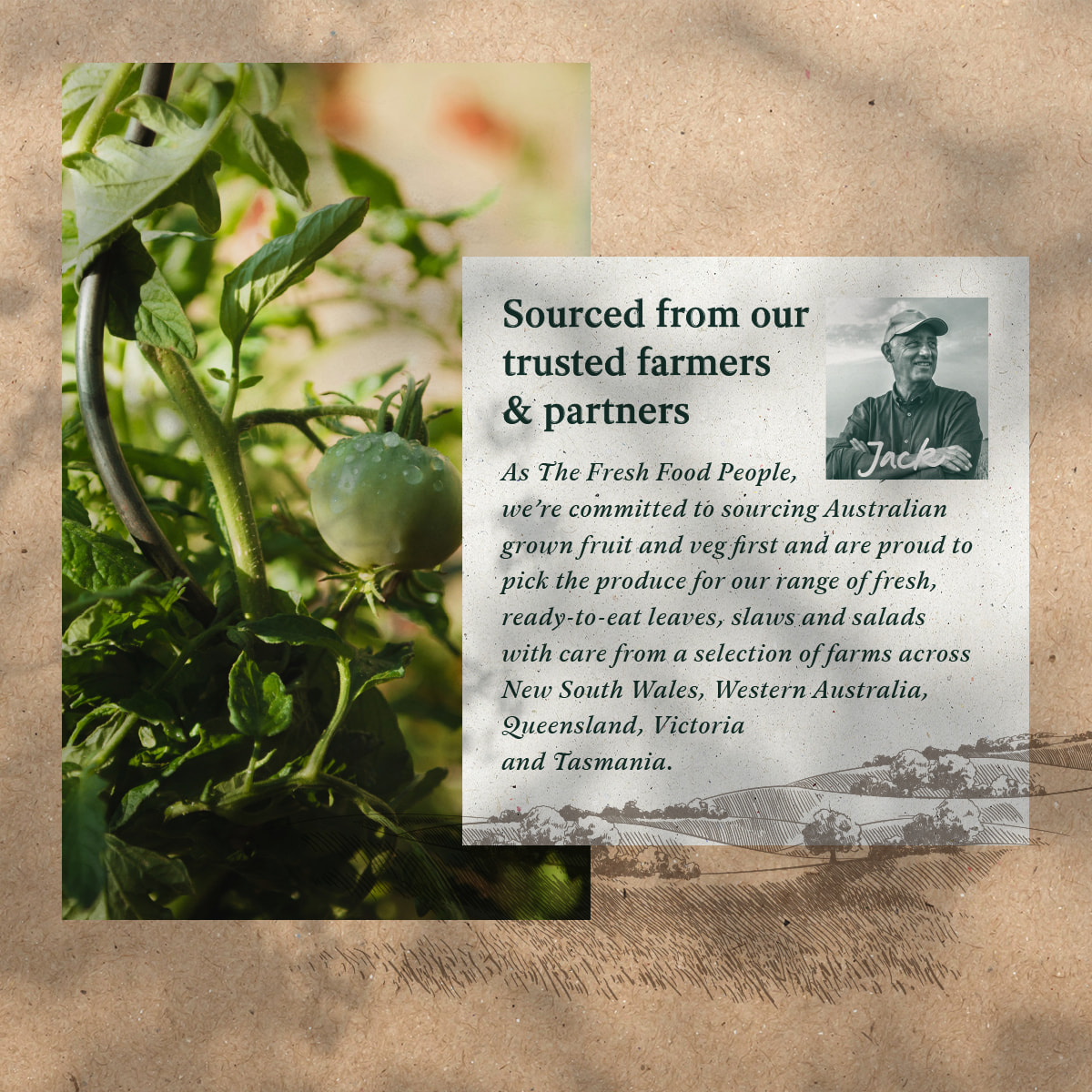 woolworths-food-range-fresh-fruit-vegetables-farmer-Australia-farms-brand-and-packaging-redesign-boxer-and-co-studio